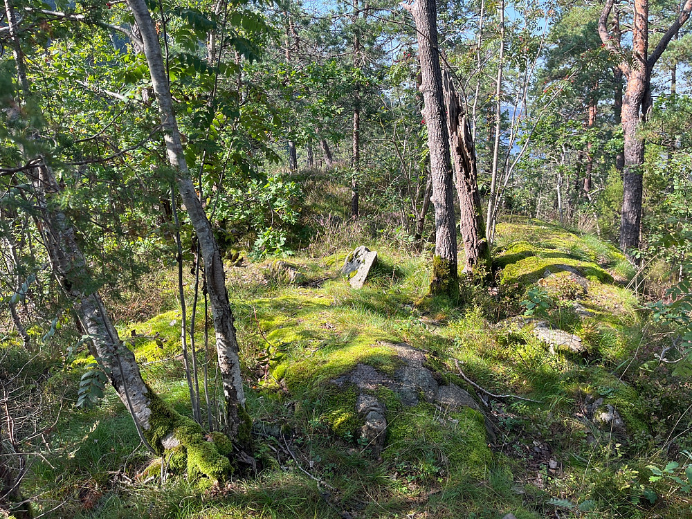 Toppen av Furuholmen