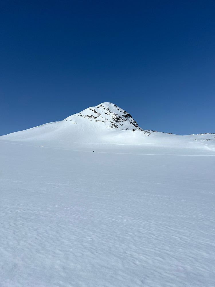 Vestre Høgvagltind