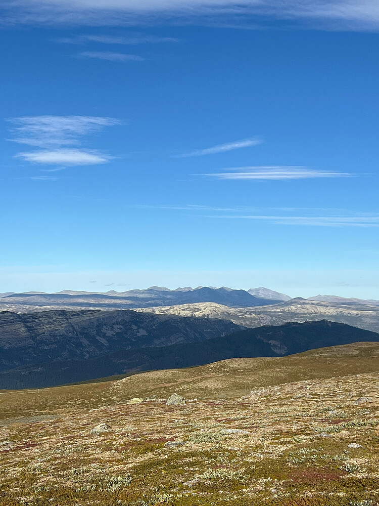 Rondane