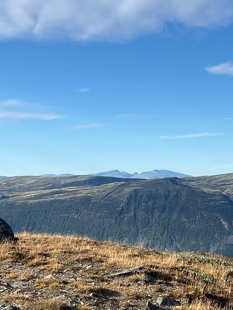 Dovrefjell