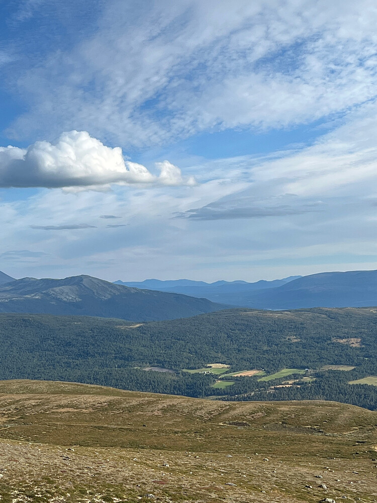 Langsua