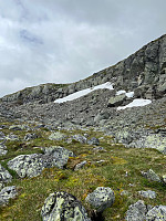 Nina2412hauge_20210712_60ec2965ad38c.jpg