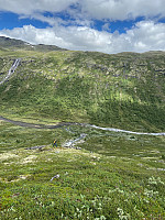 Nina2412hauge_20210712_60ec296cd68cb.jpg
