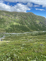 Nina2412hauge_20210712_60ec296da221a.jpg