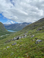 Nina2412hauge_20210712_60ec296e587d5.jpg