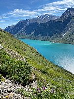 Nina2412hauge_20210713_60ed439d557d4.jpg