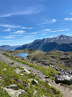 Nina2412hauge_20210713_60ed439f85260.jpg