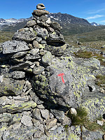 Nina2412hauge_20210713_60ed43a03d21e.jpg