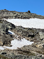 Nina2412hauge_20210713_60ed43a0dd77e.jpg