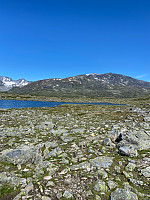 Nina2412hauge_20210713_60ed43a22ee09.jpg