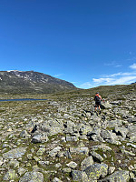 Nina2412hauge_20210713_60ed43a3a933f.jpg