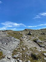 Nina2412hauge_20210713_60ed43a46335a.jpg