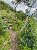 Nina2412hauge_20210713_60ed7f2c4963f.jpg