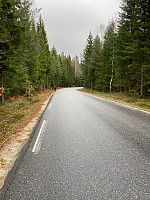 Nina2412hauge_20211030_617d5cfe428bd.jpg