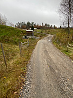 Nina2412hauge_20211030_617d5cfeef91e.jpg