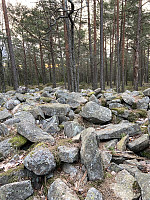 Nina2412hauge_20220121_61ea868d99a76.jpg