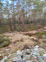 Nina2412hauge_20220121_61ea868f02387.jpg