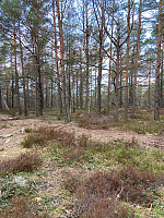 Nina2412hauge_20220121_61ea869049904.jpg
