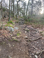 Nina2412hauge_20220218_620f7a8bb6381.jpg
