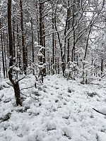 Nina2412hauge_20220219_6210fcaf85370.jpg