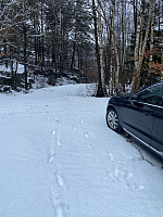 Nina2412hauge_20220219_6210fcb0cdce3.jpg