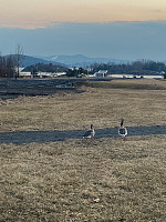 Nina2412hauge_20220321_6238befc50c39.jpg