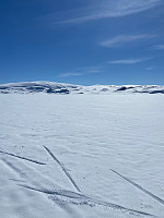 Nina2412hauge_20220415_6259b6b4c114b.jpg