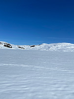 Nina2412hauge_20220415_6259b6b5e2ead.jpg