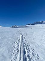Nina2412hauge_20220415_6259b6b7939cb.jpg