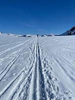 Nina2412hauge_20220415_6259b6b8b95bf.jpg