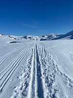Nina2412hauge_20220415_6259b6b952182.jpg