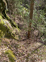 Nina2412hauge_20220430_626d546c44b66.jpg