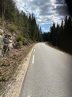 Nina2412hauge_20220430_626d546d1bb12.jpg