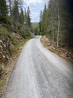 Nina2412hauge_20220430_626d546dc79d8.jpg