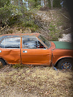 Nina2412hauge_20220430_626d546e86c9b.jpg