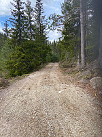 Nina2412hauge_20220430_626d546f48eff.jpg