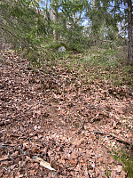 Nina2412hauge_20220430_626d547005f77.jpg