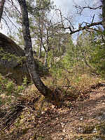 Nina2412hauge_20220430_626d5470b99aa.jpg