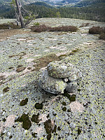 Nina2412hauge_20220430_626d54754a296.jpg