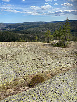 Nina2412hauge_20220430_626d54782df9c.jpg