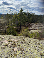 Nina2412hauge_20220430_626d5478e3222.jpg