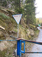 Nina2412hauge_20220430_626d547c16f7f.jpg