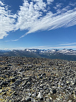 Nina2412hauge_20220721_62d9645b972d9.jpg