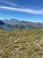 Nina2412hauge_20220721_62d9646445d6a.jpg