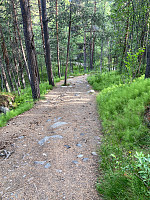 Nina2412hauge_20220722_62dad4c0568ad.jpg