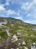Nina2412hauge_20220723_62dbf7548ee84.jpg