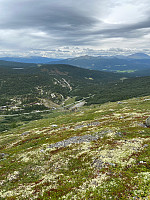 Nina2412hauge_20220724_62dd3c2c4518b.jpg