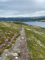 Nina2412hauge_20220724_62dd3c2cd9313.jpg