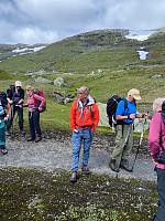 Nina2412hauge_20220807_62efbd438a243.jpg
