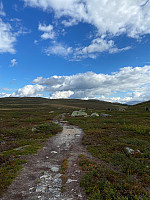 Nina2412hauge_20220903_631357c80b5e2.jpg